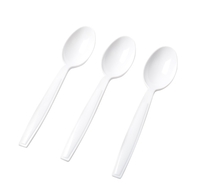 White Tea Plastic Spoons  - Posh Party Supplies